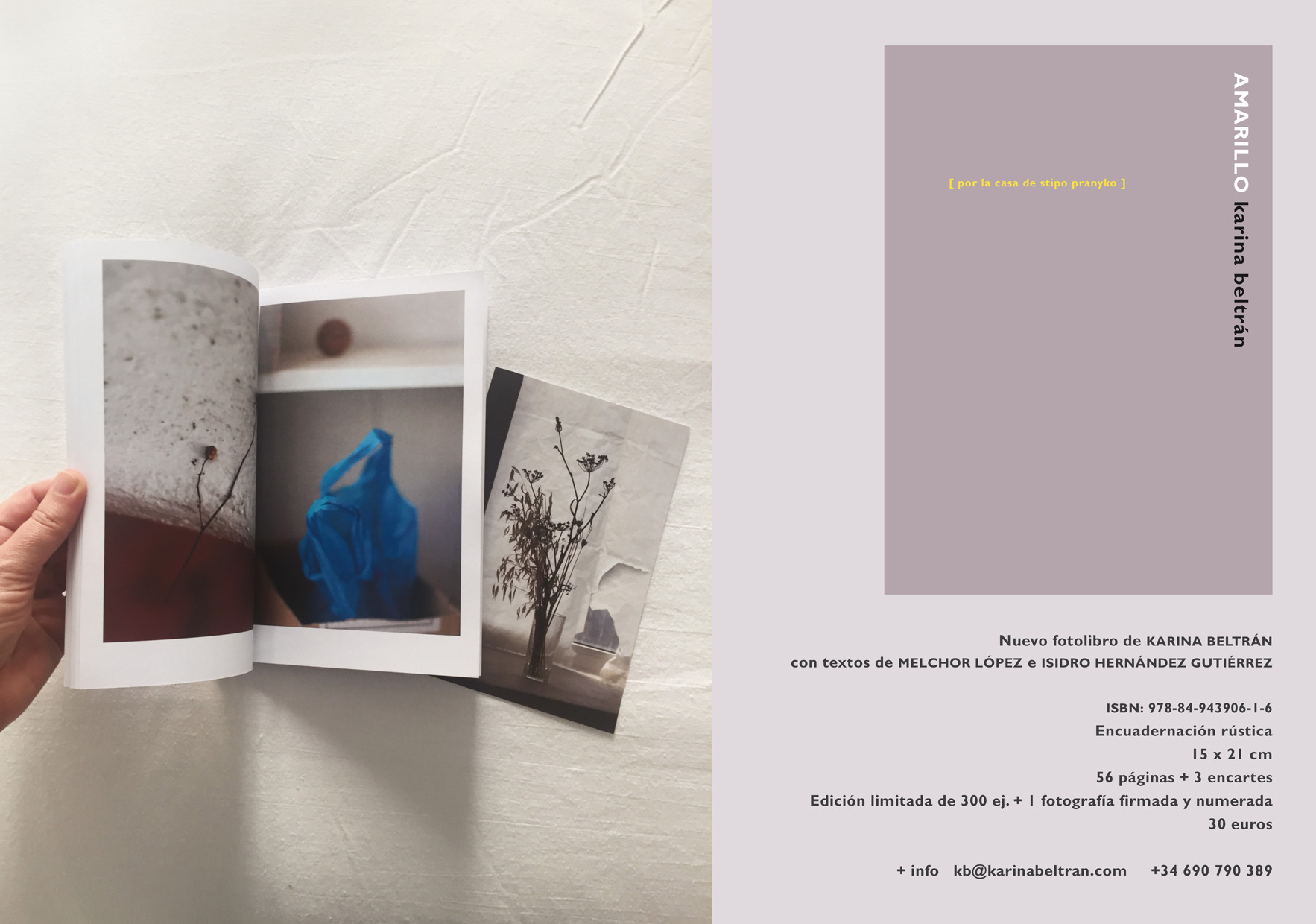 amarillo (por la casa de Stipo Pranyko). Karina Beltr&aacute;n.